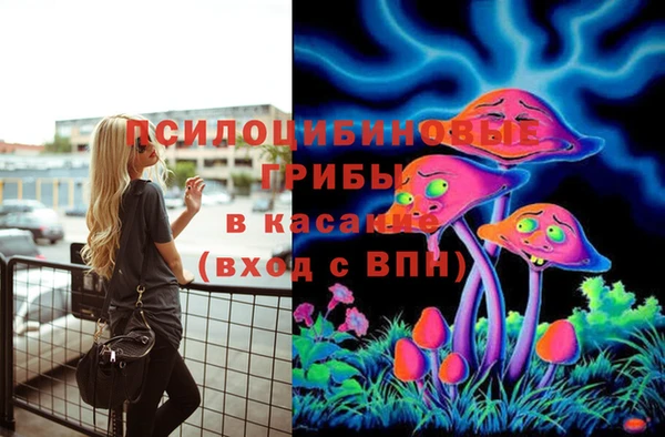 ECSTASY Абаза