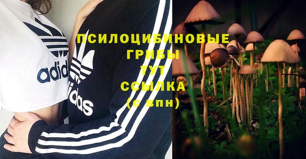 ECSTASY Абаза