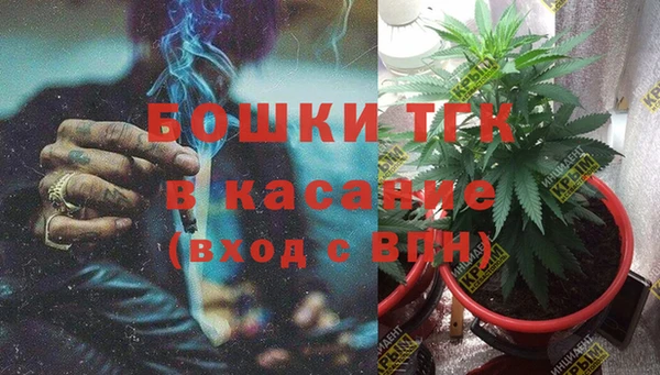 ECSTASY Абаза