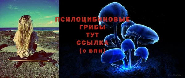 ECSTASY Абаза