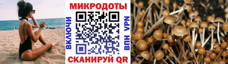 Псилоцибиновые грибы MAGIC MUSHROOMS  наркошоп  Стрежевой 